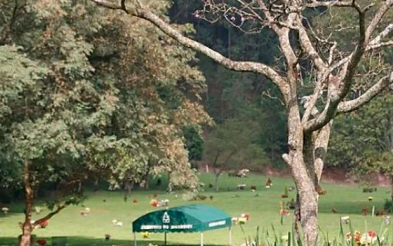 Coroa de Flores Cemitério Morumbi