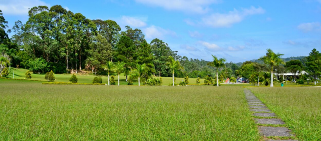 Coroa de Flores Cemitério Parque dos Girassóis