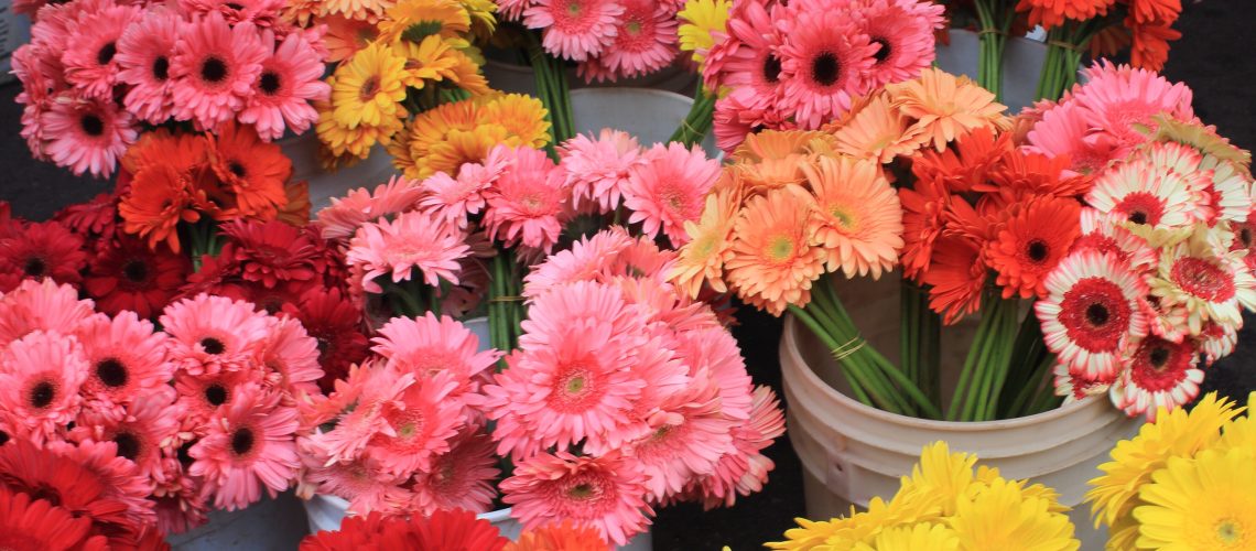 coroa-de-flores-crematorio-osasco